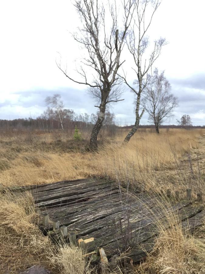 Kranich-Holzferienhaus 'Kleine Auszeit' Rehden 外观 照片