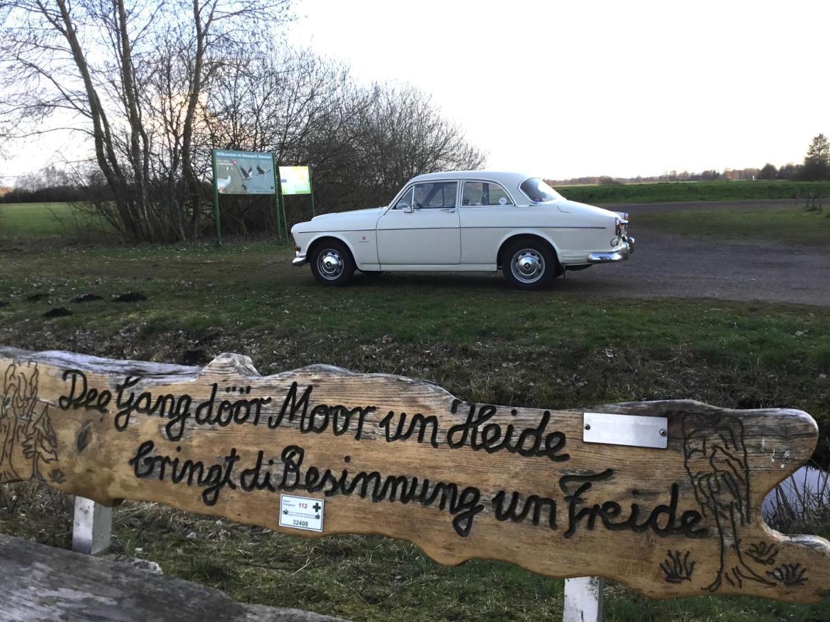 Kranich-Holzferienhaus 'Kleine Auszeit' Rehden 外观 照片